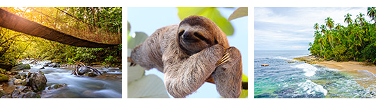 Eco Avontuur in Costa Rica